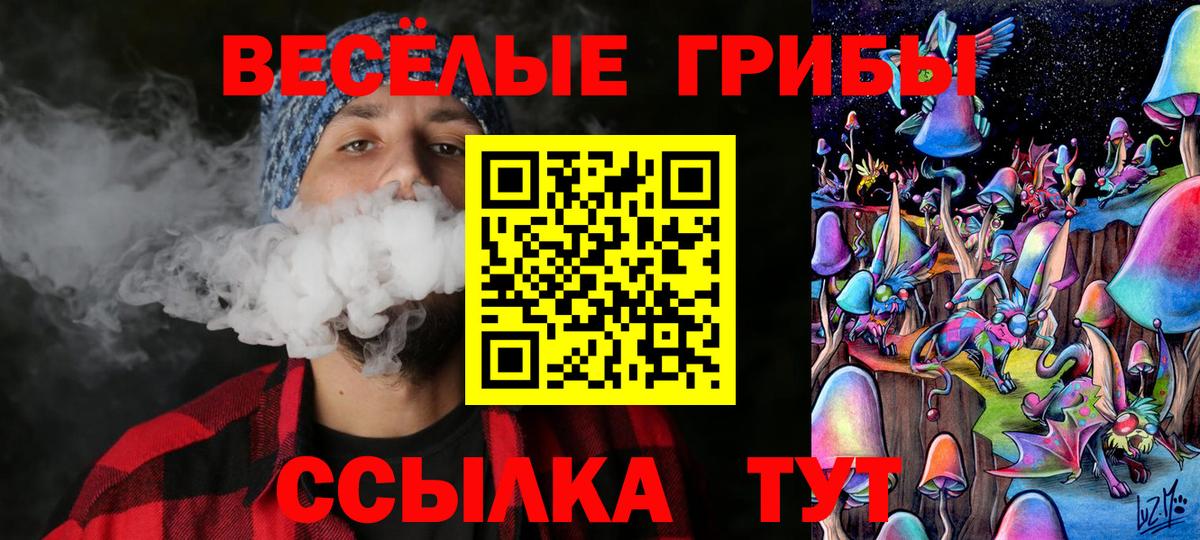 Псилоцибиновые грибы Psilocybine cubensis Калуга