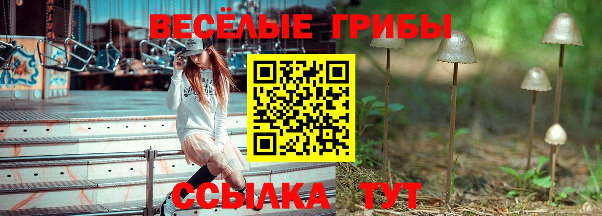 Калуга  Галлюциногенные грибы прущие грибы  Галлюциногенные грибы мицелий  Вход с VPN 